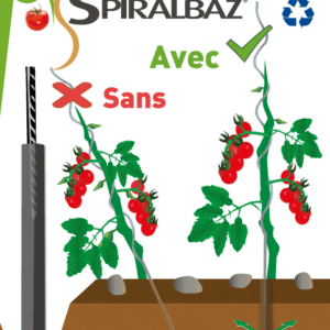 SPIRALBAZ - Base pour tuteur spirale
