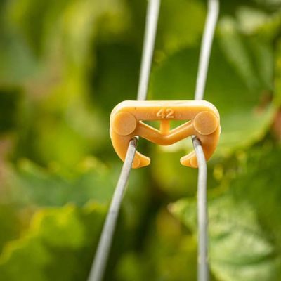 agrafe-a-vigne-cavi-group